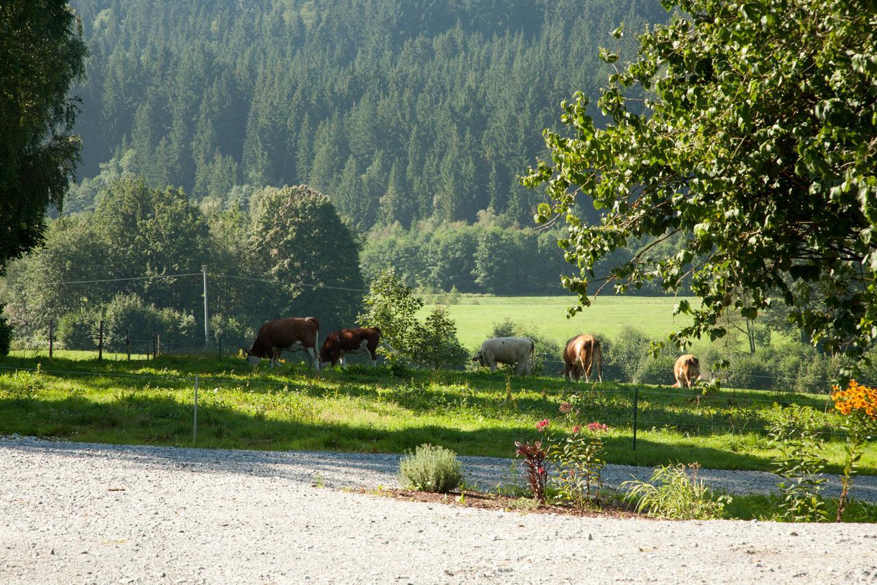 Landhotel Bayerwald Grafling Buitenkant foto